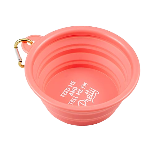 Collapsible Bowl - Feed Me