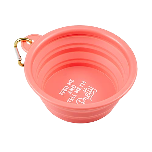 Feed Me Collapsible Bowl